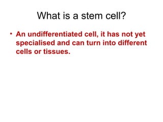 What is a stem cell? An undifferentiated cell, it has not yet specialised and can turn into different cells or tissues. 