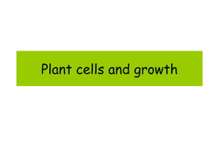 Plant cells and growth 