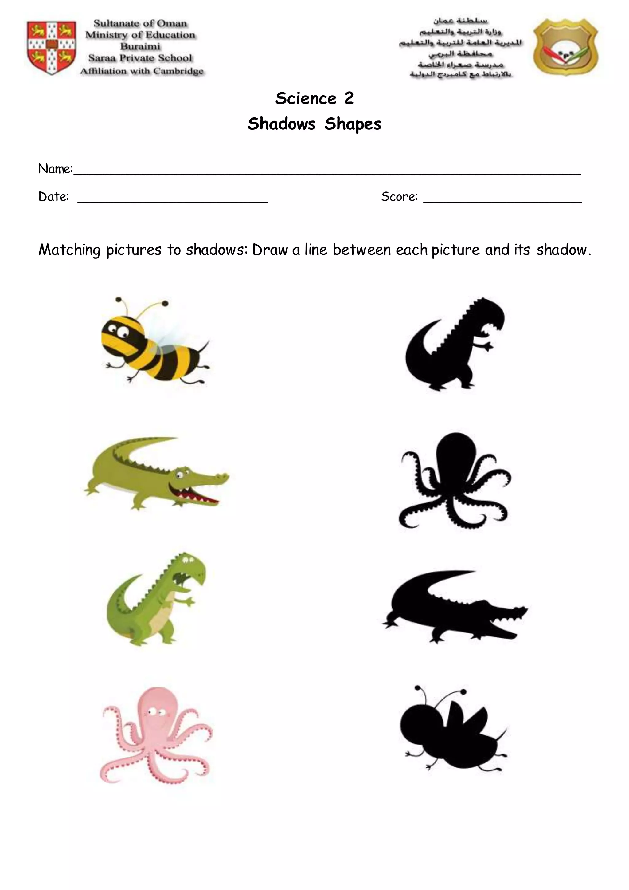 Science 2
Shadows Shapes
Name:________________________________________________________________
Date: ________________________ Score: ____________________
Matching pictures to shadows: Draw a line between each picture and its shadow.