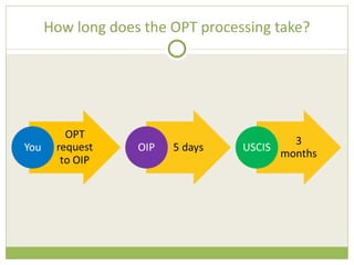 How long does the OPT processing take? 