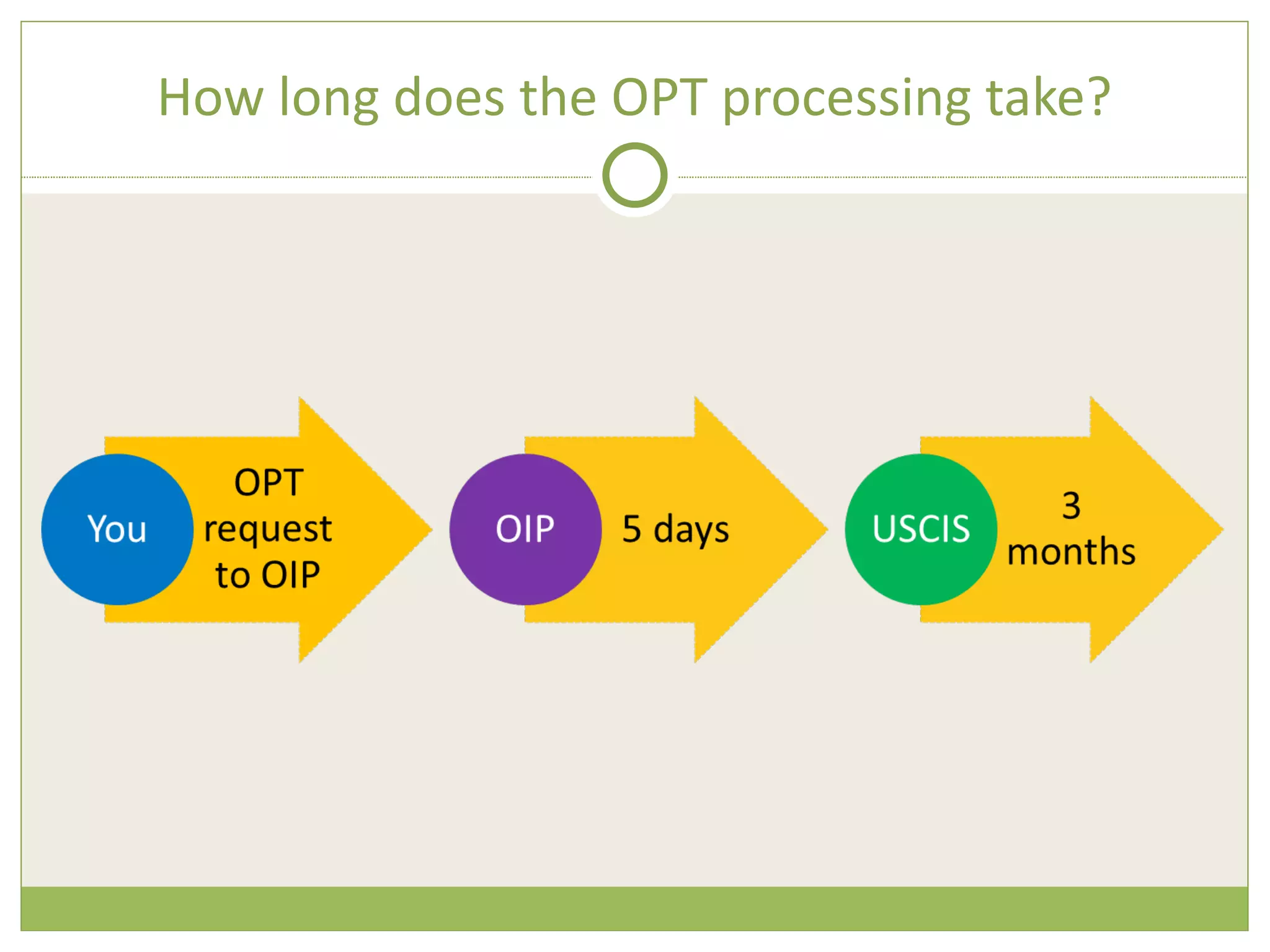 How long does the OPT processing take? 