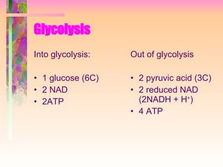 Glycolysis   Into glycolysis: 1 glucose (6C) 2 NAD 2ATP Out of glycolysis 2 pyruvic acid (3C) 2 reduced NAD (2NADH + H + ) 4 ATP 