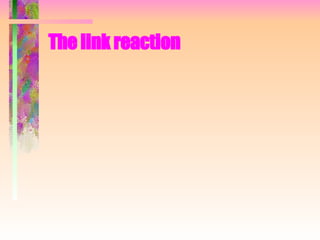 The link reaction 