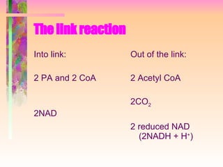 The link reaction Into link: 2 PA and 2 CoA 2NAD Out of the link: 2 Acetyl CoA 2CO 2 2 reduced NAD (2NADH + H + ) 
