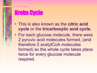Krebs Cycle   This is also known as the  citric acid cycle  or the  tricarboxylic acid cycle. For each glucose molecule, there were 2 pyruvic acid molecules formed, (and therefore 2 acetylCoA molecules formed) so the whole cycle takes place twice for every glucose molecule respired. 