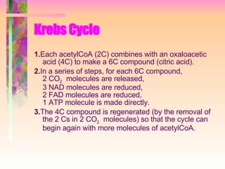 Krebs Cycle 1. Each acetylCoA (2C) combines with an oxaloacetic acid (4C) to make a 6C compound (citric acid). 2. In a series of steps, for each 6C compound,  2 CO 2   molecules are released,  3 NAD molecules are reduced,  2 FAD molecules are reduced, 1 ATP molecule is made directly. 3. The 4C compound is regenerated (by the removal of the 2 Cs in 2 CO 2   molecules) so that the cycle can begin again with more molecules of acetylCoA. 