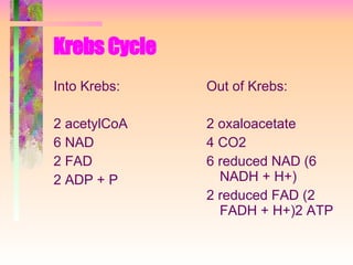 Krebs Cycle Into Krebs: 2 acetylCoA 6 NAD  2 FAD 2 ADP + P Out of Krebs: 2 oxaloacetate 4 CO2 6 reduced NAD (6 NADH + H+) 2 reduced FAD (2 FADH + H+)2 ATP 