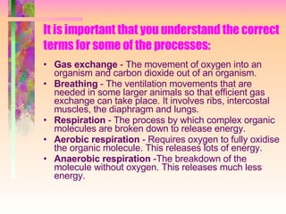It is important that you understand the correct terms for some of the processes: Gas exchange  - The movement of oxygen into an organism and carbon dioxide out of an organism. Breathing  - The ventilation movements that are needed in some larger animals so that efficient gas exchange can take place. It involves ribs, intercostal muscles, the diaphragm and lungs. Respiration  - The process by which complex organic molecules are broken down to release energy. Aerobic respiration  - Requires oxygen to fully oxidise the organic molecule. This releases lots of energy. Anaerobic respiration  -The breakdown of the molecule without oxygen. This releases much less energy. 