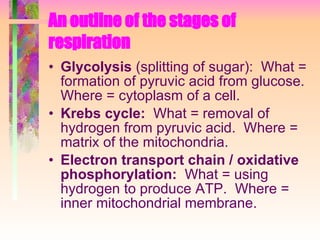 An outline of the stages of respiration Glycolysis  (splitting of sugar):  What = formation of pyruvic acid from glucose.  Where = cytoplasm of a cell.     Krebs cycle:   What = removal of hydrogen from pyruvic acid.  Where = matrix of the mitochondria.     Electron transport chain / oxidative phosphorylation:   What = using hydrogen to produce ATP.  Where = inner mitochondrial membrane. 