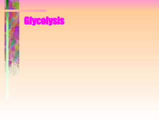 Glycolysis   