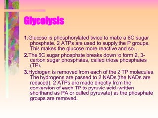 Glycolysis   1. Glucose is phosphorylated twice to make a 6C sugar phosphate. 2 ATPs are used to supply the P groups. This makes the glucose more reactive and so… 2. The 6C sugar phosphate breaks down to form 2, 3-carbon sugar phosphates, called triose phosphates (TP). 3. Hydrogen is removed from each of the 2 TP molecules. The hydrogens are passed to 2 NADs (the NADs are reduced). 2 ATPs are made directly from the conversion of each TP to pyruvic acid (written shorthand as PA or called pyruvate) as the phosphate groups are removed. 