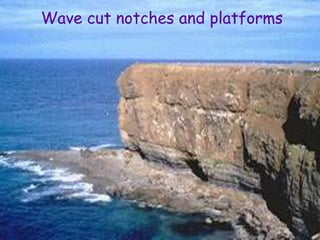 Wave cut notches and platforms
 