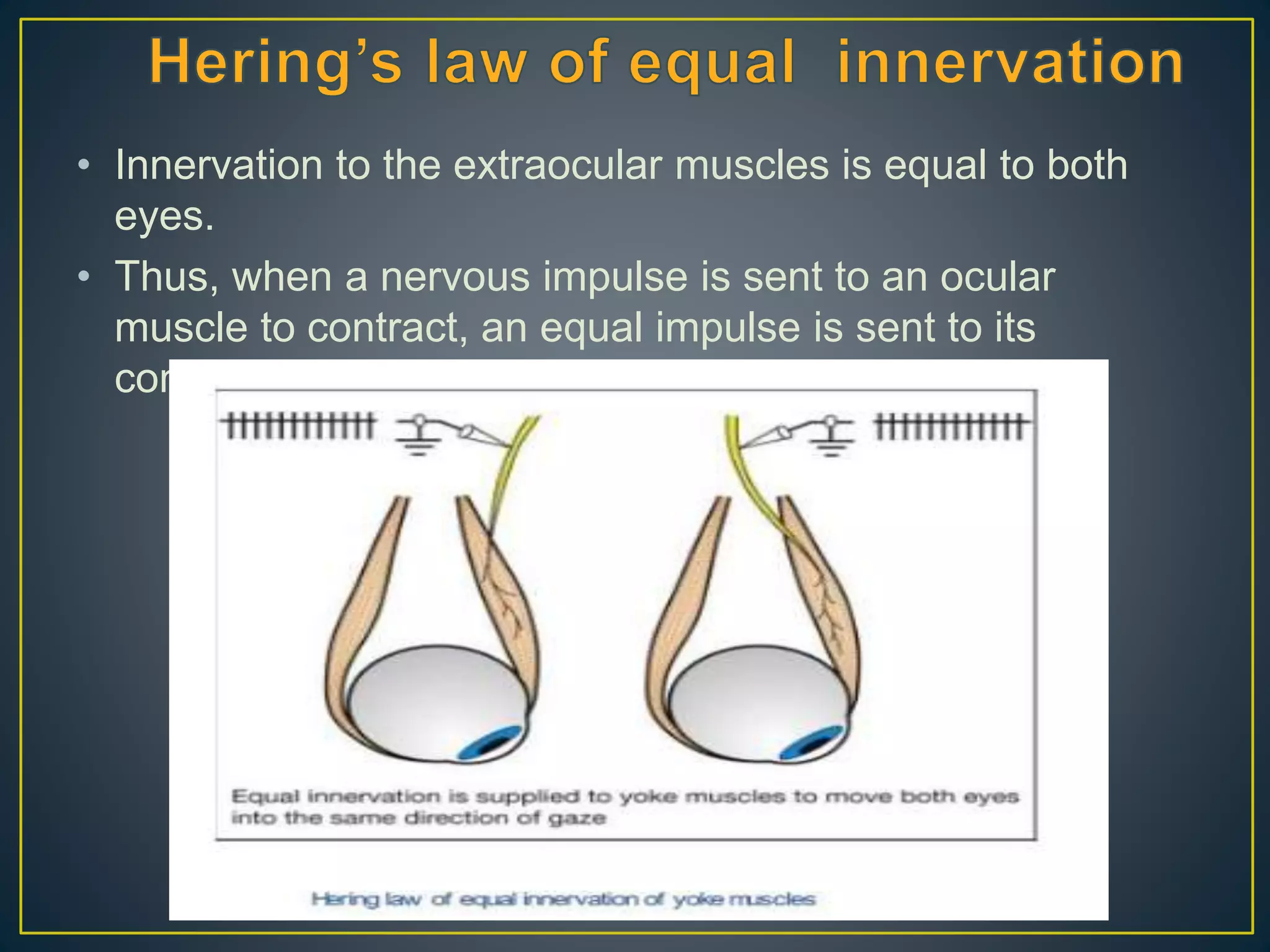 • Innervation to the extraocular muscles is equal to both
eyes.
• Thus, when a nervous impulse is sent to an ocular
muscle to contract, an equal impulse is sent to its
contralateral synergist to contract.
 