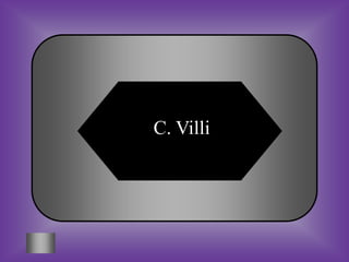 C. Villi
 
