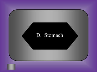 D. Stomach
 