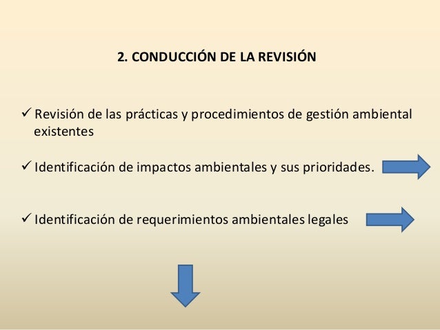 Formato de recurso de revisión en materia ambiental