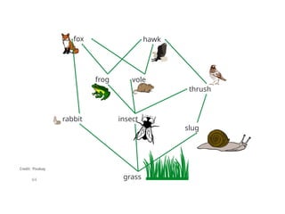 Comprehensive Overview of Ecosystem Processes: Photosynthesis ...