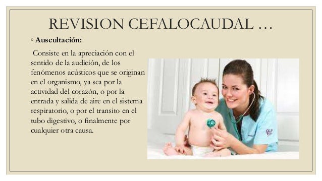 Revision cefalocaudal