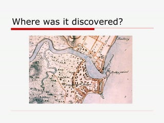 Where was it discovered? 