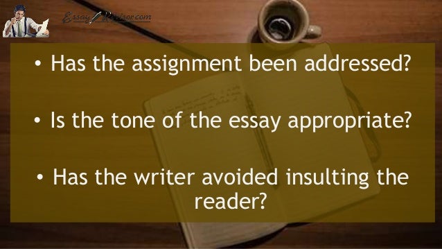 Essay reviser