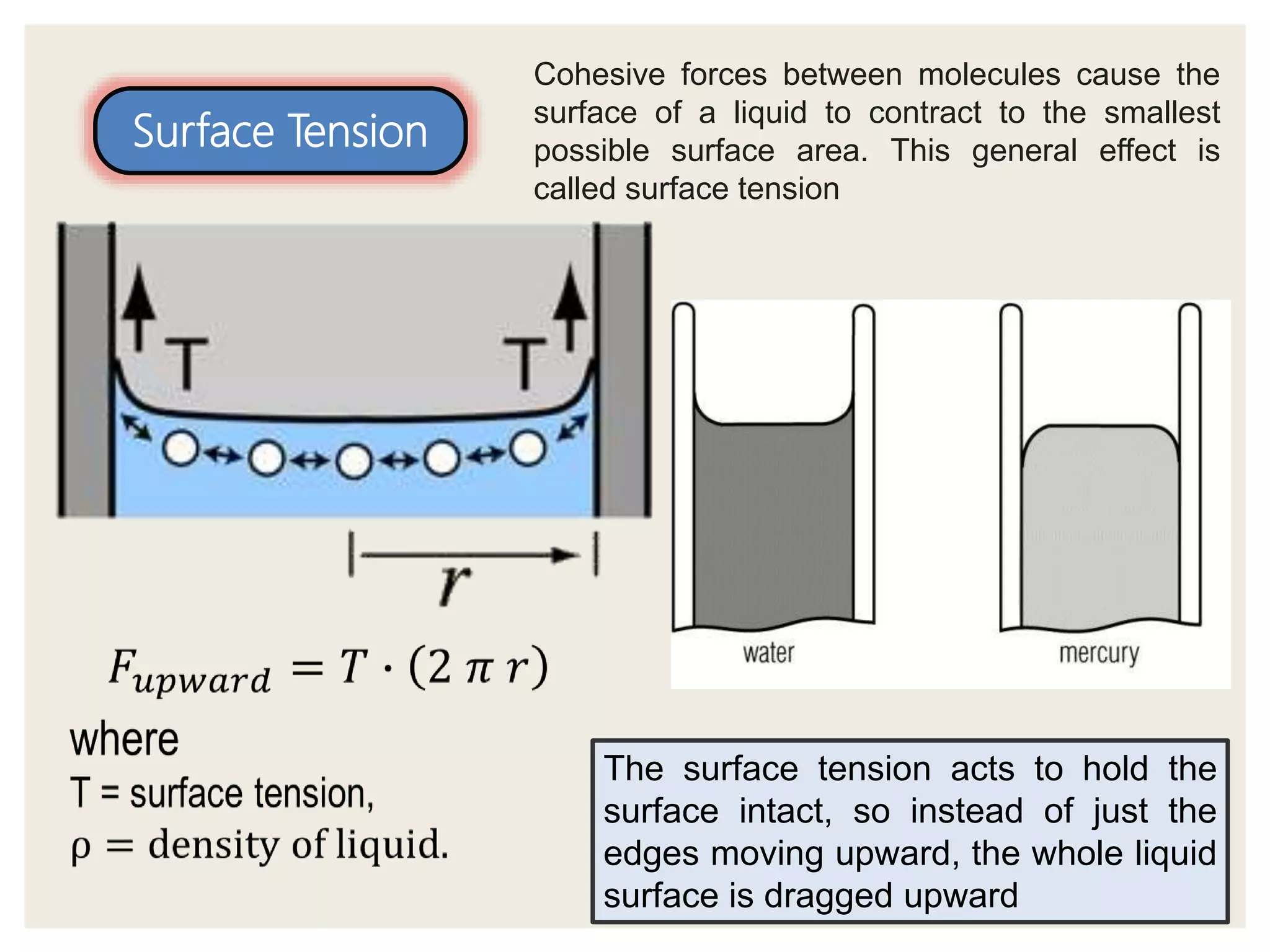 The surface tension acts to hold the
surface intact, so instead of just the
edges moving upward, the whole liquid
surface is dragged upward
Surface Tension
Cohesive forces between molecules cause the
surface of a liquid to contract to the smallest
possible surface area. This general effect is
called surface tension
 