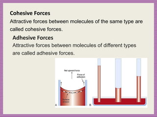 Cohesive Forces
Attractive forces between molecules of the same type are
called cohesive forces.
Adhesive Forces
Attractive forces between molecules of different types
are called adhesive forces.
 