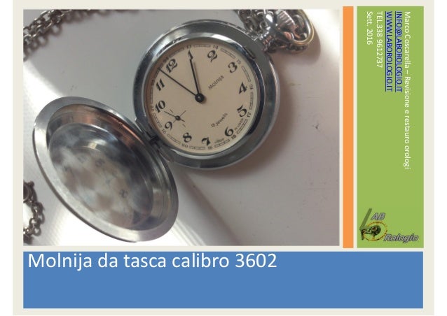Revisione molnija-tasca-calibro 3602- master esito lavoro