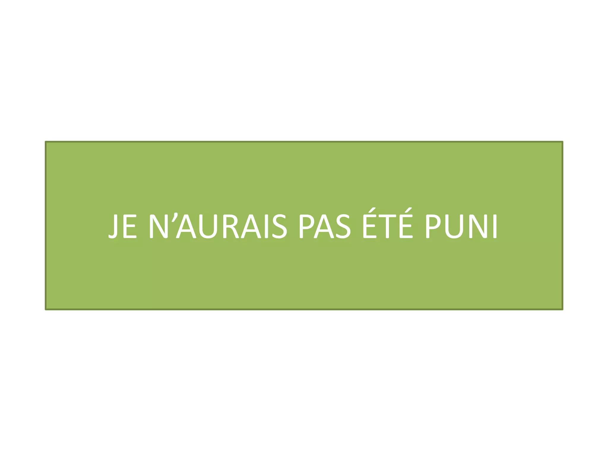 JE N’AURAIS PAS ÉTÉ PUNI 
 