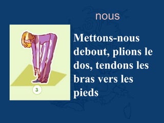 Mettons-nous
debout, plions le
dos, tendons les
bras vers les
pieds
nous
 
