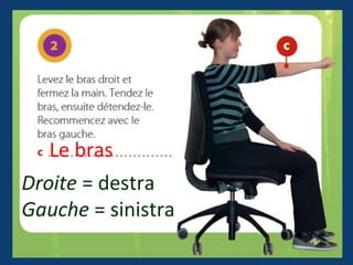 Le bras
Droite = destra
Gauche = sinistra
 