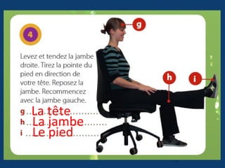 La tête
La jambe
Le pied
 