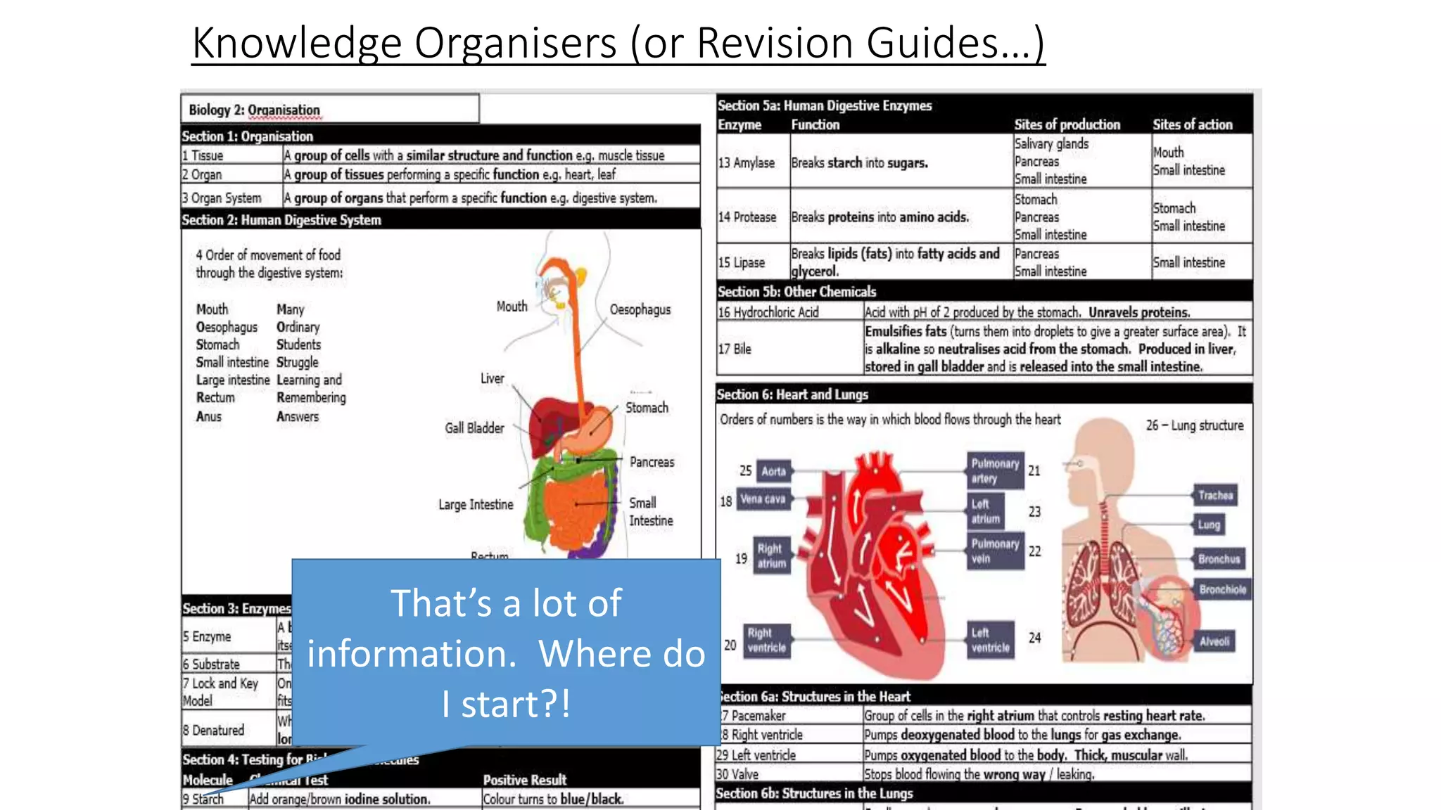 Knowledge Organisers (or Revision Guides…)
That’s a lot of
information. Where do
I start?!
 