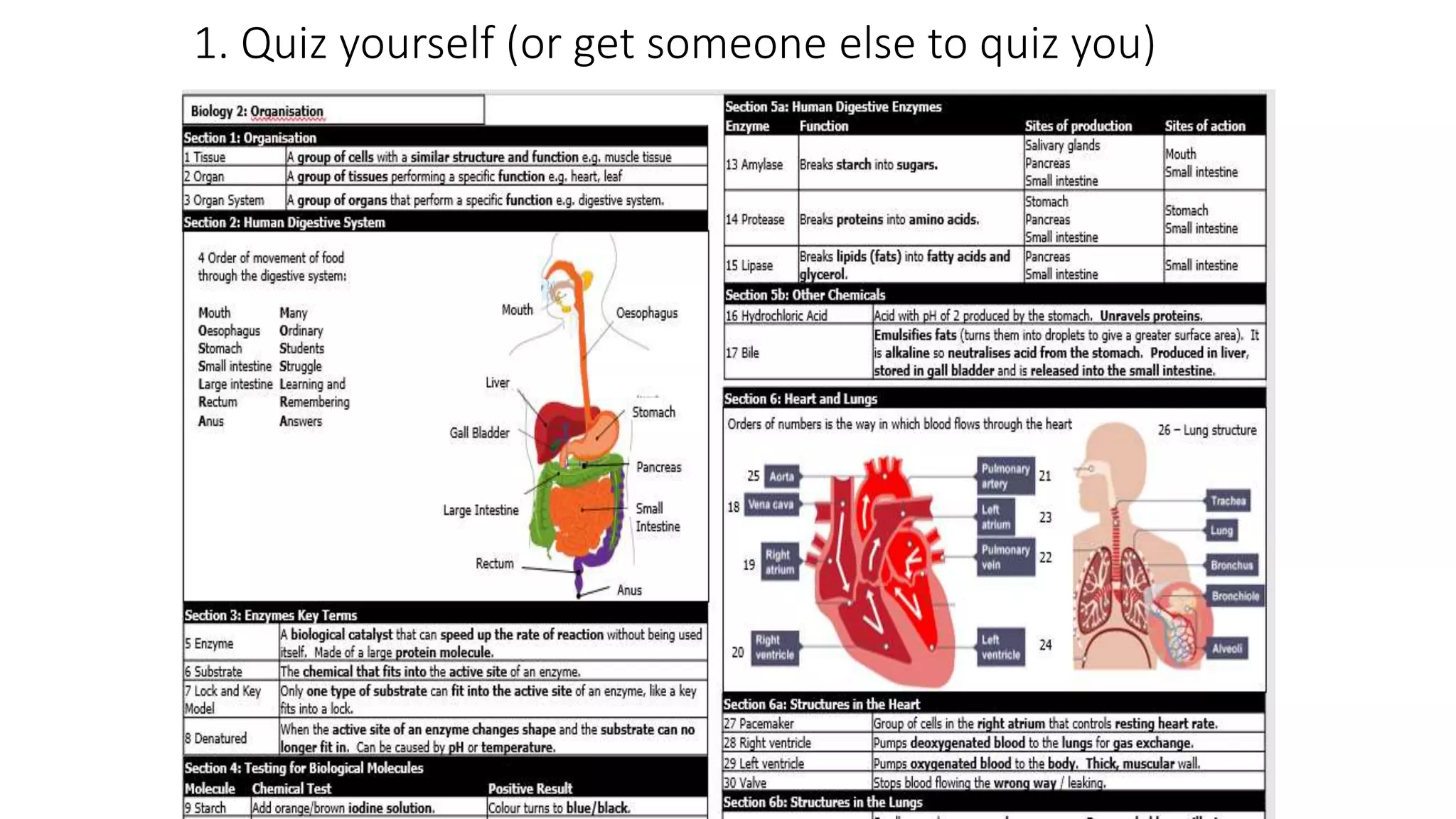 1. Quiz yourself (or get someone else to quiz you)
 