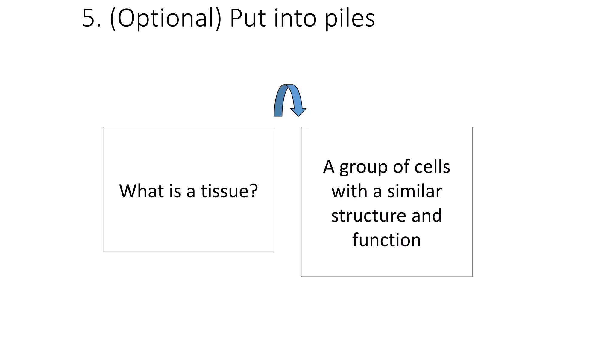 5. (Optional) Put into piles
What is a tissue?
A group of cells
with a similar
structure and
function
 