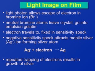 Light Image on Film
Light Image on Film
• light photon allows escape of electron in
bromine ion (Br -)
• neutral bromine atoms leave crystal, go into
emulsion gelatin
• electron travels to, fixed in sensitivity speck
• negative sensitivity speck attracts mobile silver
(Ag+) ion forming silver atom
Ag+ + electron

Ag

• repeated trapping of electrons results in
growth of silver

 