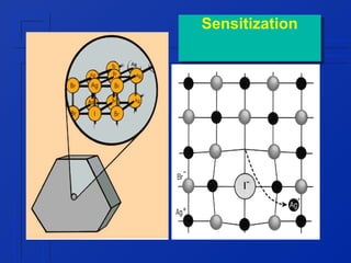 Sensitization
Sensitization

 