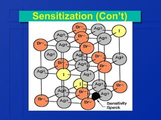 Sensitization (Con’t)
Sensitization (Con’t)

 