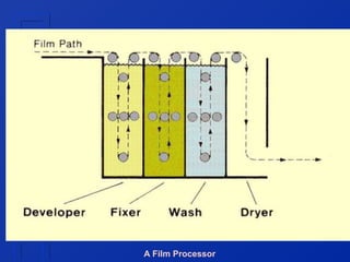 A Film Processor

 