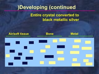 (Developing (continued
Entire crystal converted to
black metallic silver

Air/soft tissue

Bone

Metal

 