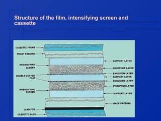 Structure of the film, intensifying screen and
cassette

 