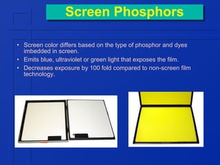 Screen Phosphors
Screen Phosphors
• Screen color differs based on the type of phosphor and dyes
imbedded in screen.
• Emits blue, ultraviolet or green light that exposes the film.
• Decreases exposure by 100 fold compared to non-screen film
technology.

 