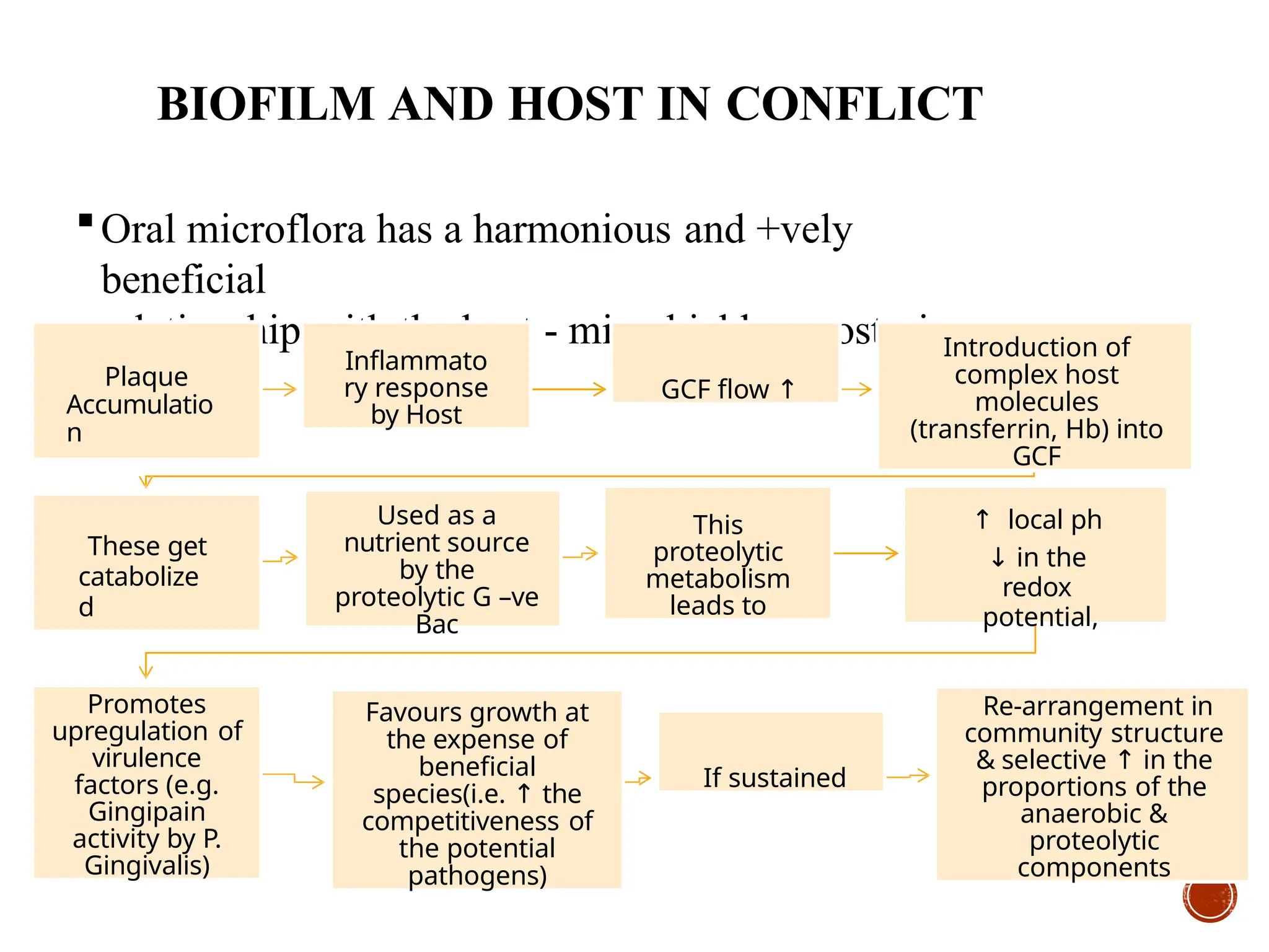 Revision Lecture Plaque As A Biofilm Pptx