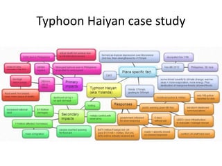 Typhoon Haiyan case study
 