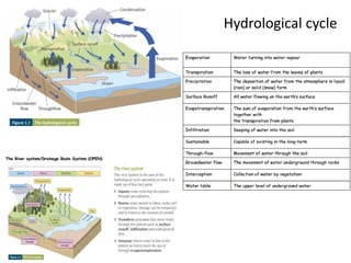 Hydrological cycle
 