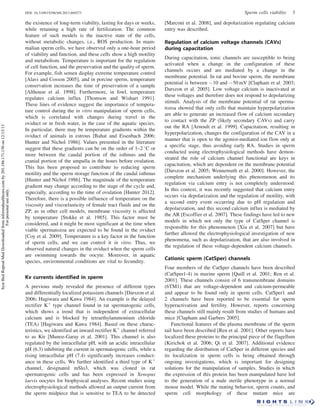 Syst Biol Reprod Med Downloaded from informahealthcare.com by 201.186.171.150 on 12/13/13
For personal use only.

DOI: 10.3109/19396368.2013.869273

the existence of long-term viability, lasting for days or weeks,
while retaining a high rate of fertilization. The common
feature of such models is the inactive state of the cells,
without metabolic changes, i.e., ROS production. In mammalian sperm cells, we have observed only a one-hour period
of viability and function, and these cells show a high motility
and metabolism. Temperature is important for the regulation
of cell function, and the preservation and the quality of sperm.
For example, fish semen display extreme temperature control
[Alavi and Cosson 2005], and in porcine sperm, temperature
conservation increases the time of preservation of a sample
[Althouse et al. 1998]. Furthermore, in fowl, temperature
regulates calcium influx [Thomson and Wishart 1991].
These lines of evidence suggest the importance of temperature control during the in vitro manipulation of sperm cells,
which is correlated with changes during travel in the
oviduct or in fresh water, in the case of the aquatic species.
In particular, there may be temperature gradients within the
oviduct of animals in estrous [Bahat and Eisenbach 2006;
Hunter and Nichol 1986]. Values presented in the literature
suggest that these gradients can be on the order of 1–2  C or
more between the caudal portion of the isthmus and the
cranial portion of the ampulla in the hours before ovulation.
This has been proposed to contribute to reducing sperm
motility and the sperm storage function of the caudal isthmus
[Hunter and Nichol 1986]. The magnitude of the temperature
gradient may change according to the stage of the cycle and,
especially, according to the time of ovulation [Hunter 2012].
Therefore, there is a possible influence of temperature on the
viscosity and viscoelasticity of female tract fluids and on the
ZP, as in other cell models, membrane viscosity is affected
by temperature [Stokke et al. 1985]. This factor must be
considered, and it might be most significant at the time when
viable spermatozoa are expected to be found in the oviduct
[Coy et al. 2009]. Temperature is a key factor in the function
of sperm cells, and we can control it in vitro. Thus, we
observed natural changes in the oviduct when the sperm cells
are swimming towards the oocyte. Moreover, in aquatic
species, environmental conditions are vital to fecundity.

Kv currents identified in sperm
A previous study revealed the presence of different types
and differentially localized potassium channels [Darszon et al.
2006; Hagiwara and Kawa 1984]. An example is the delayed
rectifier Kþ type channel found in rat spermatogenic cells,
which shows a trend that is independent of extracellular
calcium and is blocked by tetraethylammonium chloride
(TEA) [Hagiwara and Kawa 1984]. Based on these characteristics, we identified an inward rectifier Kþ channel referred
to as Kir [Munoz-Garay et al. 2001]. This channel is also
regulated by the intracellular pH, with an acidic intracellular
pH (6.3) inhibiting the current in spermatogenic cells, while a
rising intracellular pH (7.4) significantly increases conductance in these cells. We further identified a third type of Kþ
channel, designated mSlo3, which was cloned in rat
spermatogenic cells and has been expressed in Xenopus
laevis oocytes for biophysical analyses. Recent studies using
electrophysiological methods allowed an output current from
the sperm midpiece that is sensitive to TEA to be detected

Sperm cells viability

3

[Marconi et al. 2008], and depolarization regulating calcium
entry was described.

Regulation of calcium voltage channels (CAVs)
during capacitation
During capacitation, ionic channels are susceptible to being
activated when a change in the configuration of these
channels occurs and are mediated by a change in the
membrane potential. In rat and bovine sperm, the membrane
potential is between À10 and À50 mV [Clapham et al. 2003;
Darszon et al. 2005]. Low voltage calcium is inactivated at
these voltages and therefore does not respond to depolarizing
stimuli. Analysis of the membrane potential of rat spermatozoa showed that only cells that maintain hyperpolarization
are able to generate an increased flow of calcium secondary
to contact with the ZP (likely secondary CAVs) and carry
out the RA [Arnoult et al. 1999]. Capacitation, resulting in
hyperpolarization, changes the configuration of the CAV in a
manner that is open to the agonist-mediated ion flow only at
a specific stage, thus avoiding early RA. Studies in sperm
conducted using electrophysiological methods have demonstrated the role of calcium channel functional are keys in
capacitation, which are dependent on the membrane potential
[Darszon et al. 2005; Wennemuth et al. 2000]. However, the
complete mechanism underlying this phenomenon and its
regulation via calcium entry is not completely understood.
In this context, it was recently suggested that calcium entry
occurs via depolarization and the regulation of motility, with
a second entry event occurring due to pH regulation and
depolarization, and this second calcium influx is mediated by
the AR [Escoffier et al. 2007]. These findings have led to new
models in which not only the type of CatSper channel is
responsible for this phenomenon [Xia et al. 2007] but have
further allowed the electrophysiological investigation of new
phenomena, such as depolarization, that are also involved in
the regulation of these voltage-dependent calcium channels.

Cationic sperm (CatSper) channels
Four members of the CatSper channels have been described
(CatSper1-4) in murine sperm [Quill et al. 2001; Ren et al.
2001]. These channels consist of 6 transmembrane domains
(6TM1) that are voltage-dependent and calcium-permeable
and appear to be found only in sperm cells. CatSper1 and
2 channels have been reported to be essential for sperm
hyperactivation and fertility. However, reports concerning
these channels still mainly result from studies of humans and
mice [Clapham and Garbers 2005].
Functional features of the plasma membrane of the sperm
tail have been described [Ren et al. 2001]. Other reports have
localized these proteins to the principal piece of the flagellum
[Kirichok et al. 2006; Qi et al. 2007]. Additional evidence
regarding the distribution of CatSper in different species and
its localization in sperm cells is being obtained through
ongoing investigations, which is important for designing
solutions for the manipulation of samples. Studies in which
the expression of this protein has been manipulated have led
to the generation of a male sterile phenotype in a normal
mouse model. While the mating behavior, sperm counts, and
sperm cell morphology of these mutant mice are

 