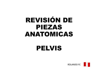 REVISIÓN DE
PIEZAS
ANATOMICAS
PELVIS
ROLANDO FC
 