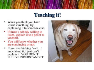 Teaching it!Teaching it!
• When you think you have
learnt something, try
explaining it to someone else.
• If there’s nobody willing to
listen, explain it to a pet or to
yourself.
• You will know whether you
are convincing or not.
• If you are thinking ‘well…I
understand it, I just can’t
explain it’ YOU DON’T
FULLY UNDERSTAND IT!
 