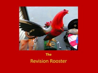 The Revision Rooster 
