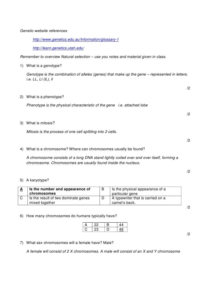 Revision sheet genetics answered blog