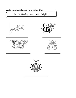 Write the animal names and colour them
____________________ _________________
______________________ ______________
______________________
fly, butterfly, ant, bee, ladybird
 